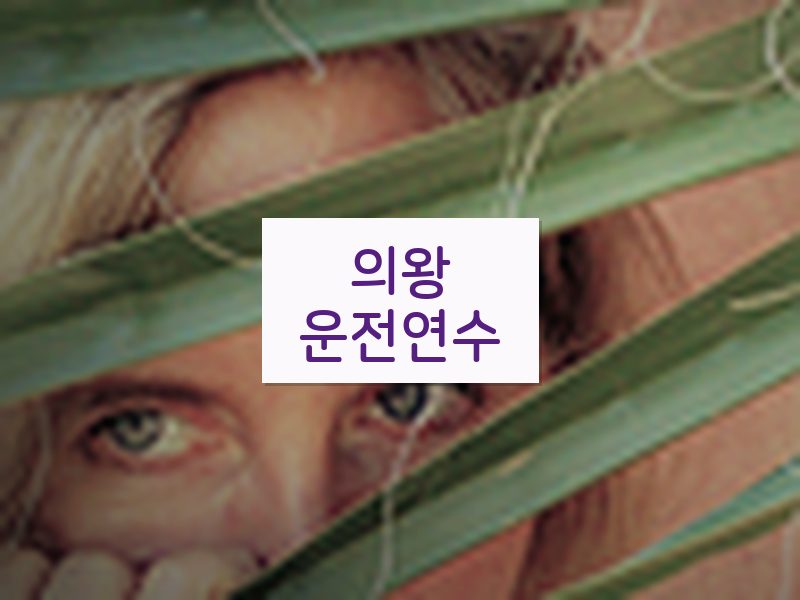의왕운전연수 후기