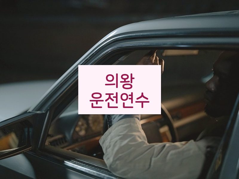 의왕운전연수 후기