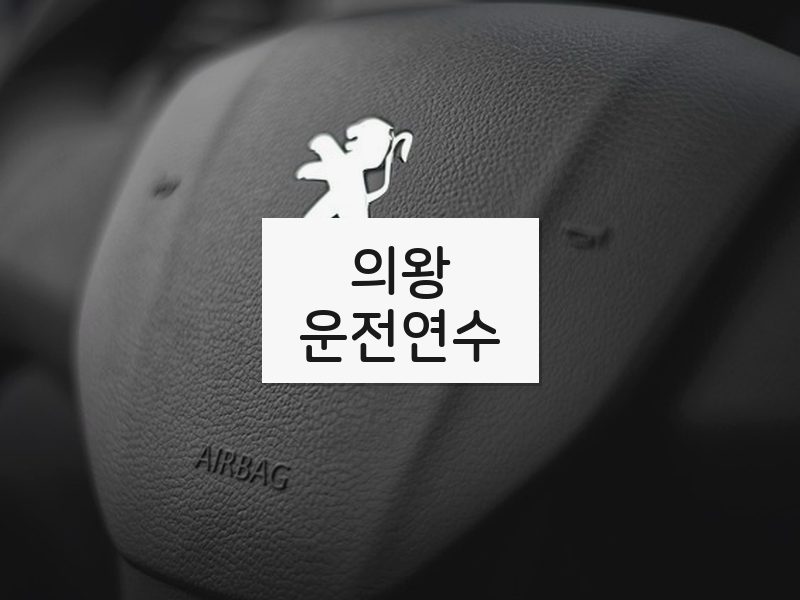 의왕운전연수 후기