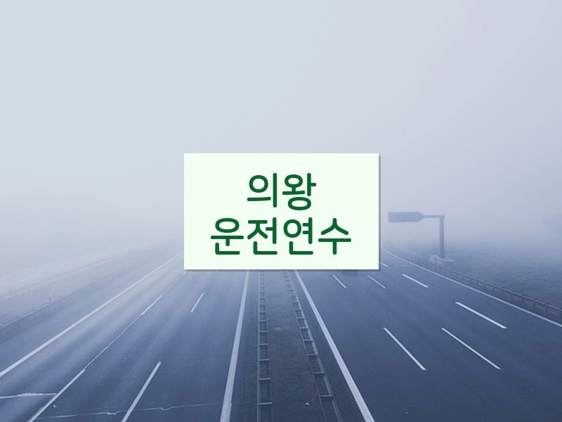 의왕운전연수 후기