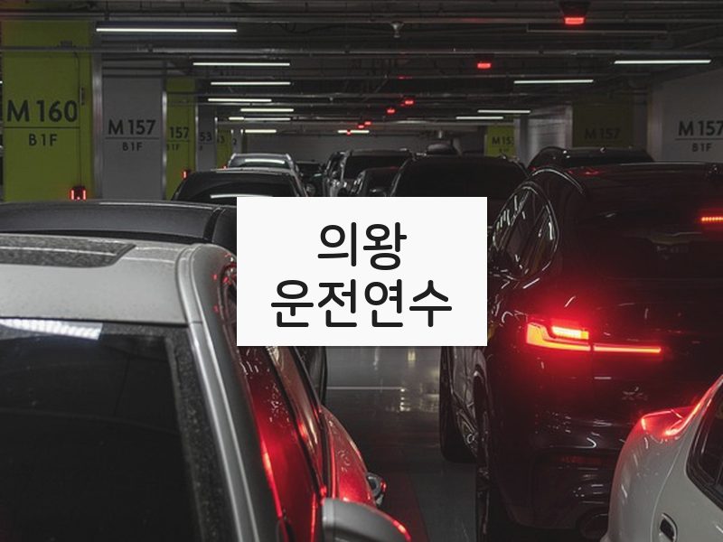 의왕운전연수 후기