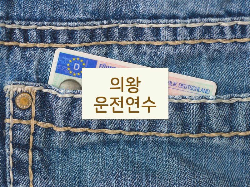 의왕운전연수 후기
