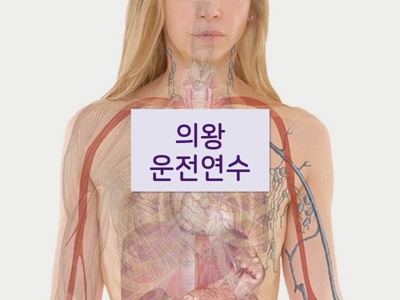 의왕운전연수 후기