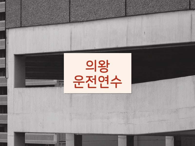 의왕운전연수 후기