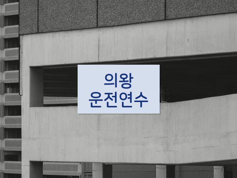 의왕운전연수 후기