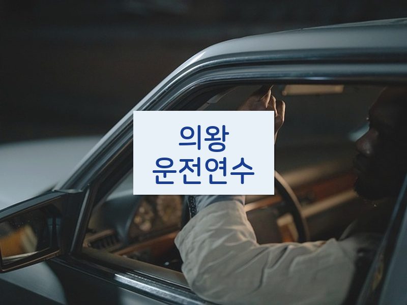의왕운전연수 후기