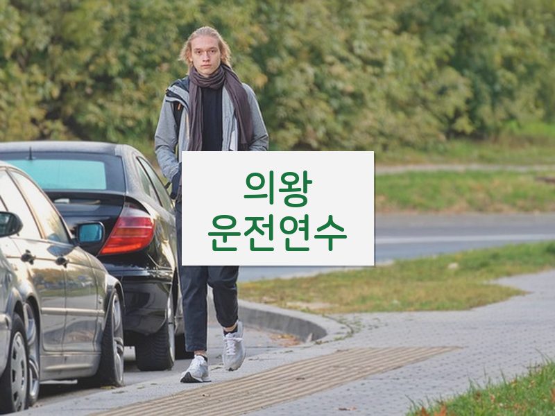 의왕운전연수 후기