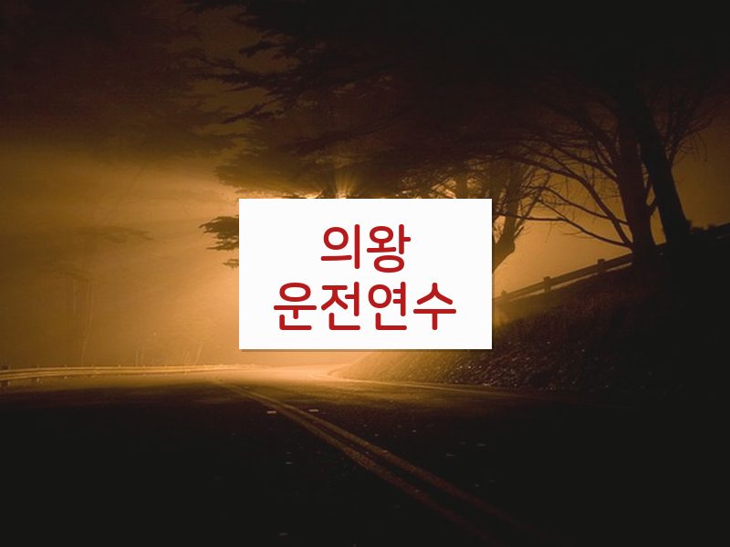 의왕운전연수 후기