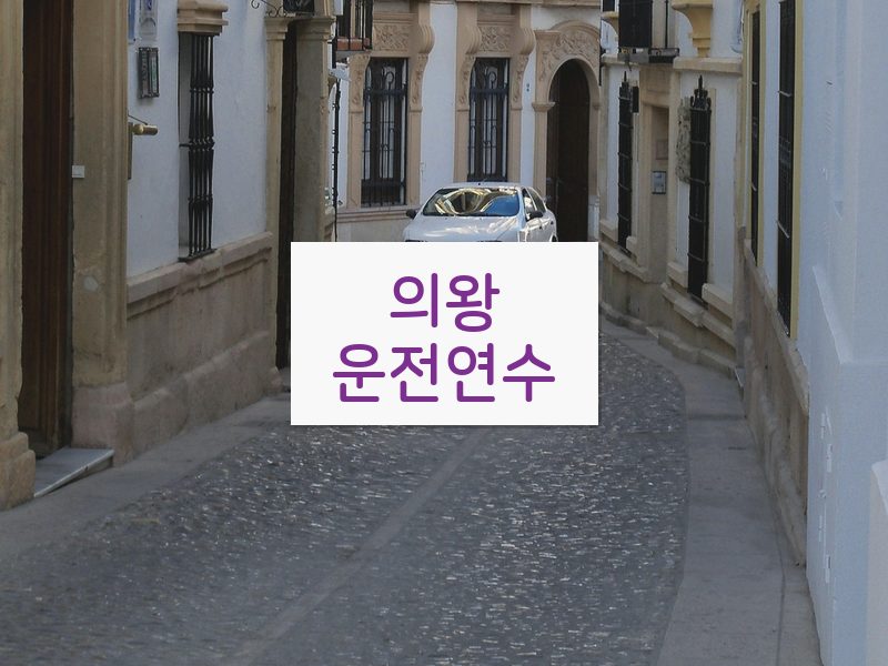 의왕운전연수 후기
