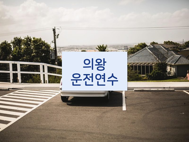 의왕운전연수 후기
