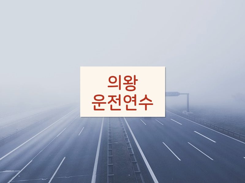 의왕운전연수 후기
