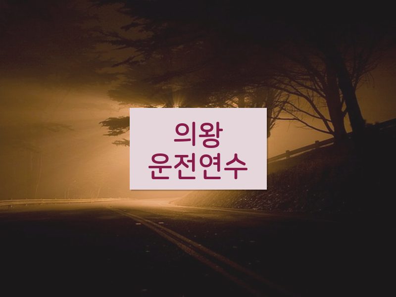 의왕운전연수 후기