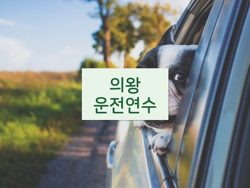 의왕운전연수 후기