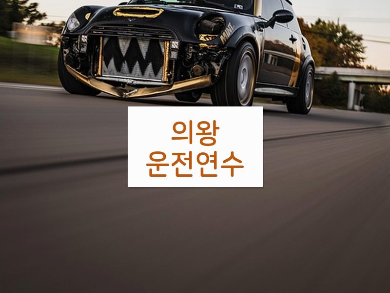 의왕운전연수 후기