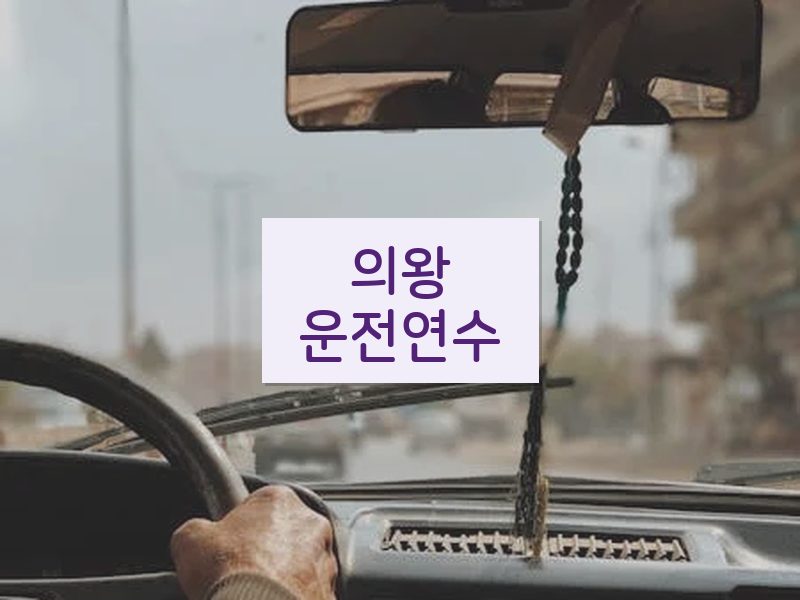 의왕운전연수 후기