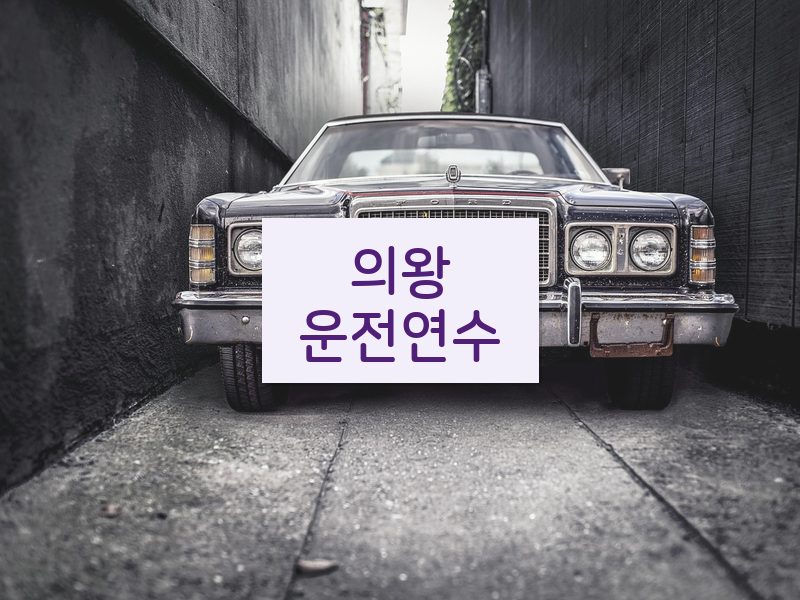 의왕운전연수 후기