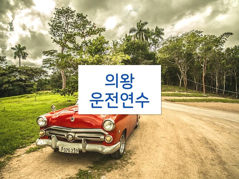 의왕운전연수 후기