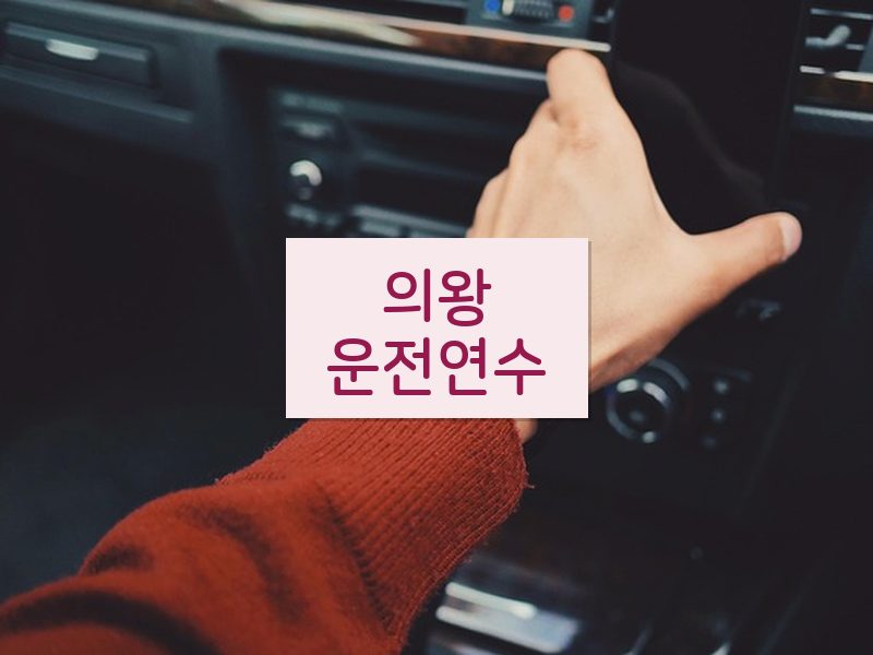 의왕운전연수 후기