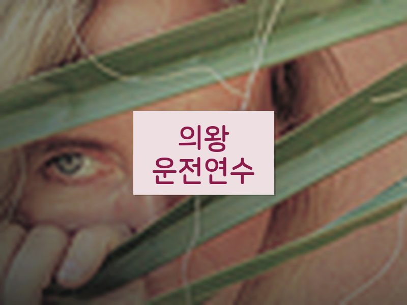 의왕운전연수 후기
