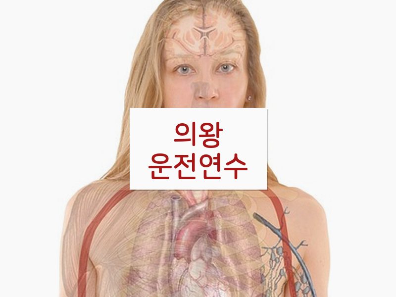 의왕운전연수 후기