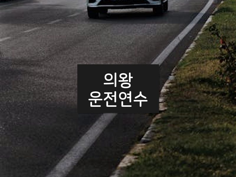의왕운전연수 후기