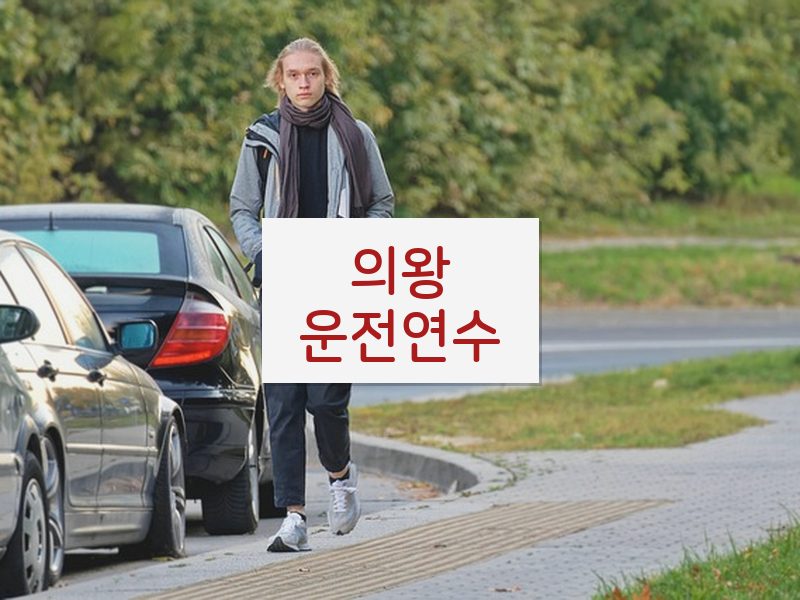 의왕운전연수 후기