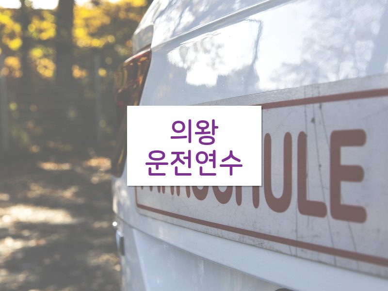 의왕운전연수 후기