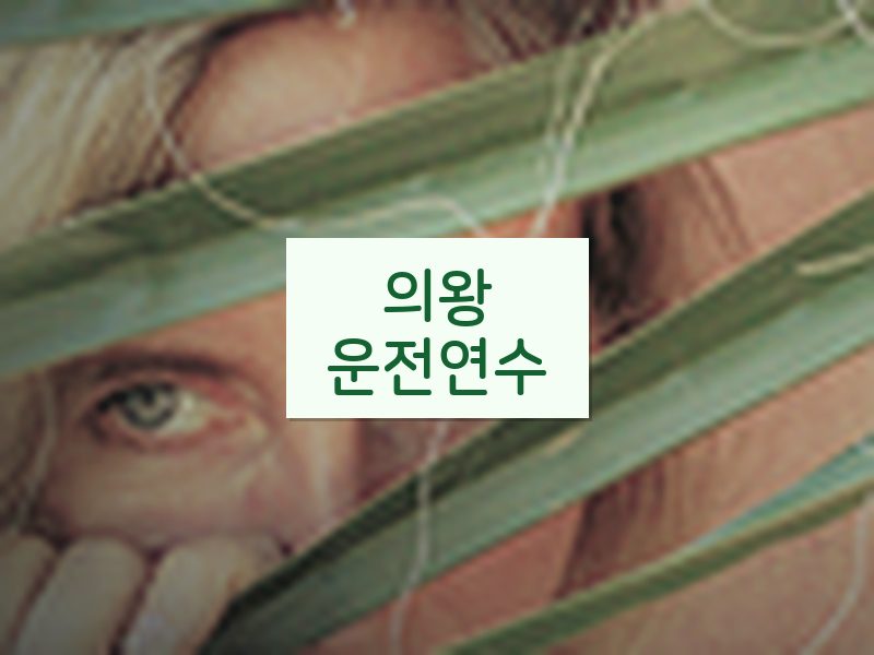 의왕운전연수 후기