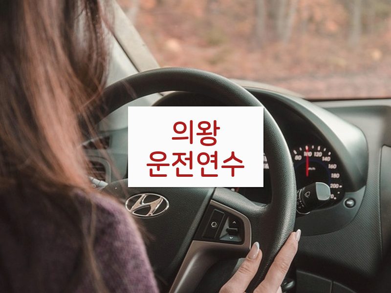 의왕운전연수 후기