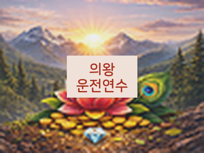 의왕운전연수 후기