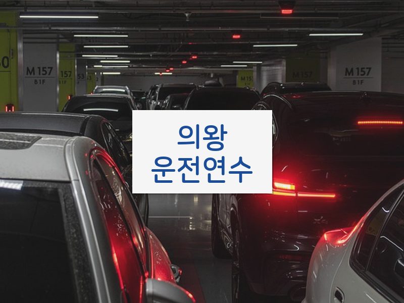 의왕운전연수 후기