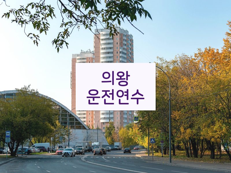 의왕운전연수 후기