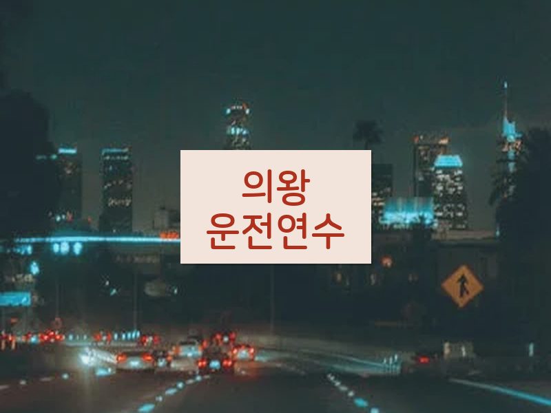 의왕운전연수 후기
