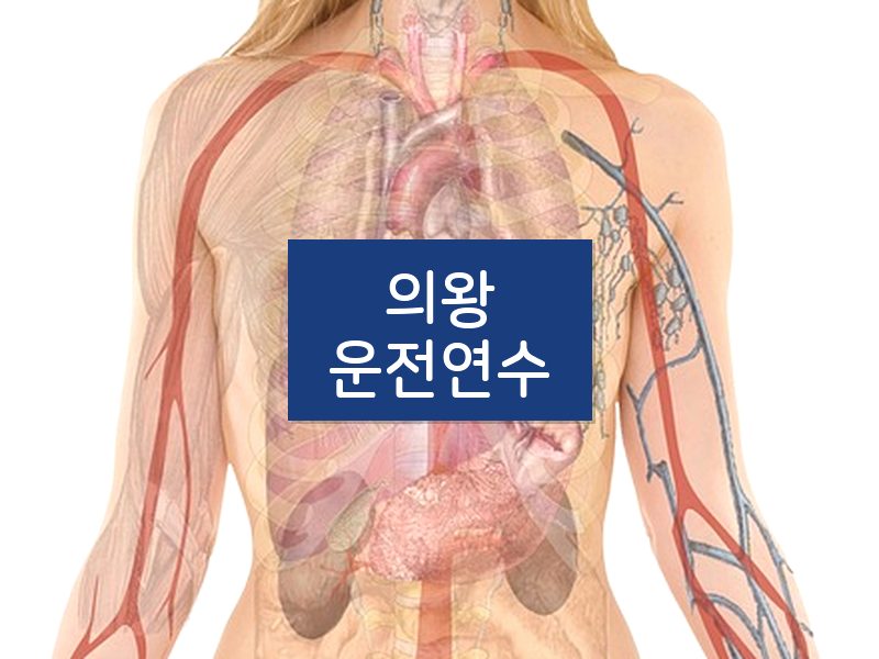 의왕운전연수 후기