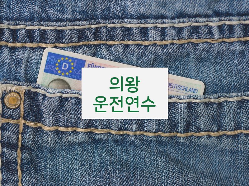 의왕운전연수 후기
