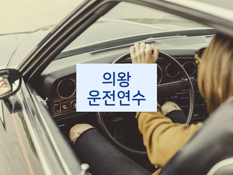 의왕운전연수 후기