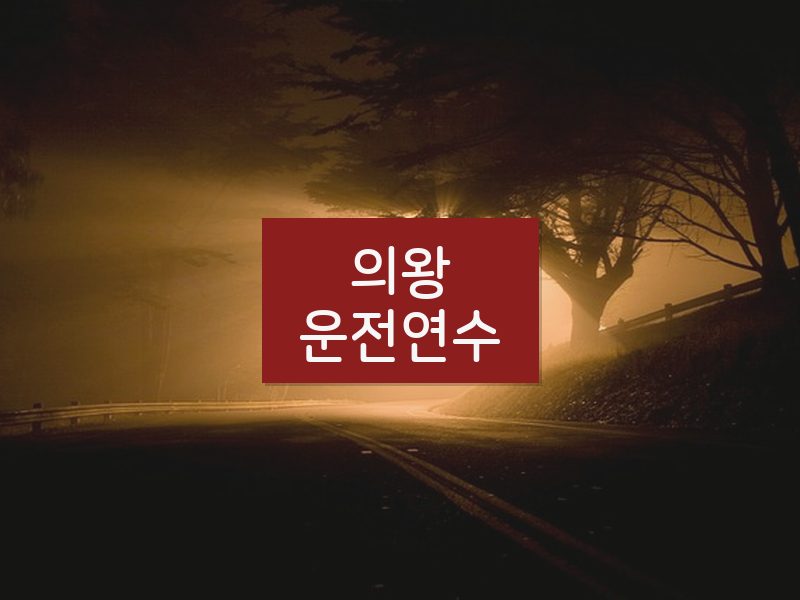 의왕운전연수 후기