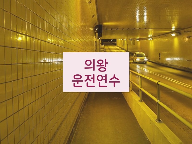 의왕운전연수 후기