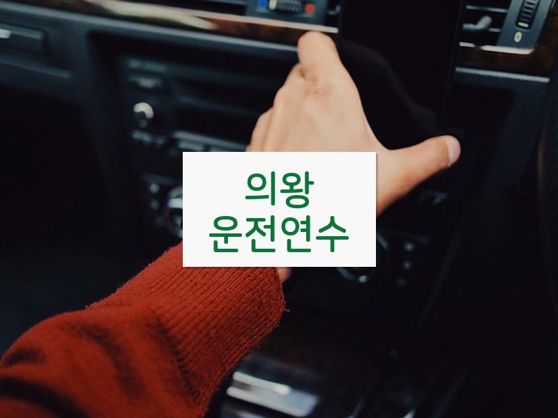 의왕운전연수 후기