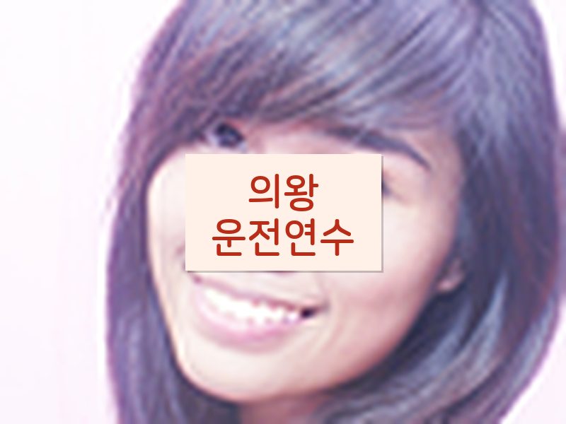 의왕운전연수 후기