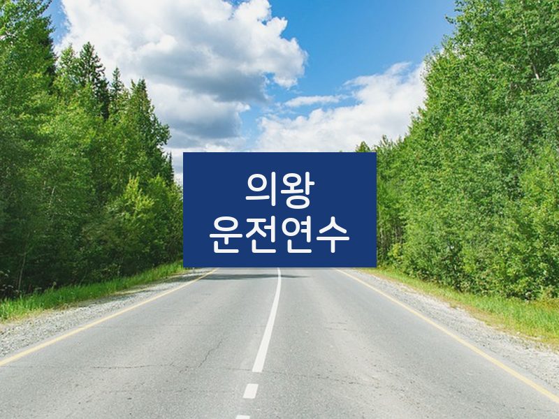 의왕운전연수 후기