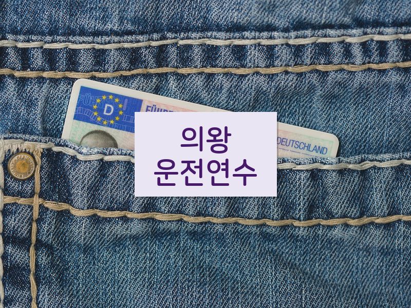 의왕운전연수 후기