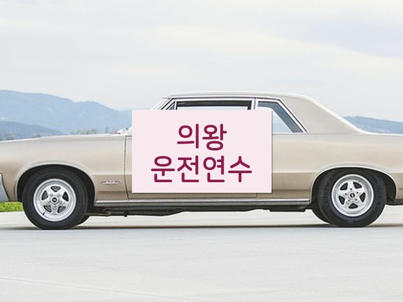의왕운전연수 후기