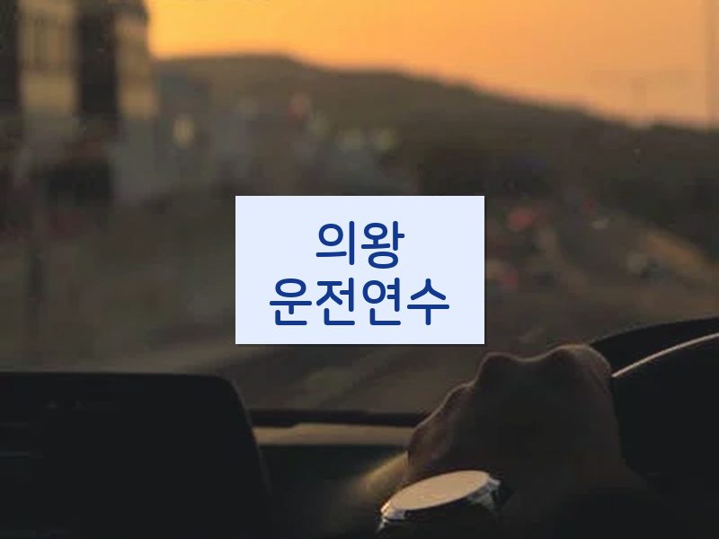 의왕운전연수 후기