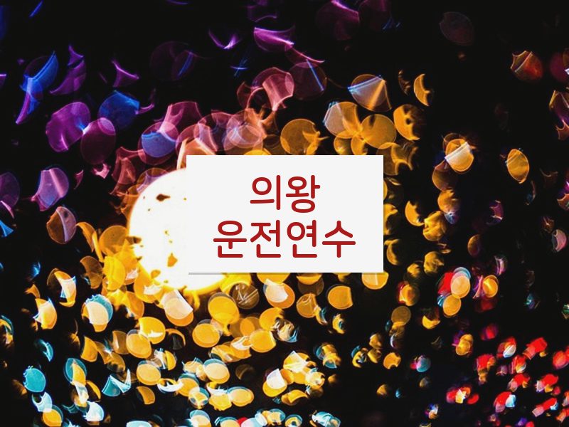 의왕운전연수 후기